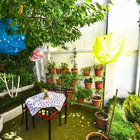 Auberge de jeunesse Pemaj *