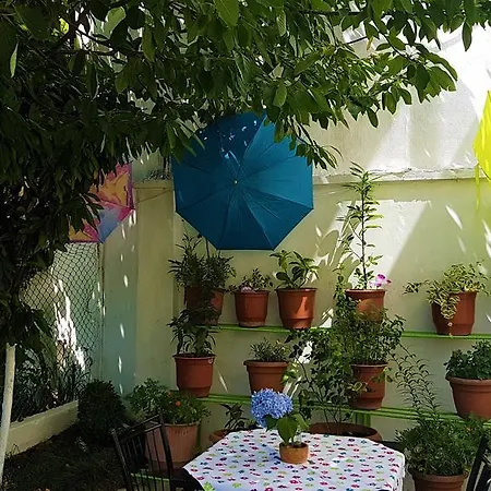 Pemaj * Shkodër